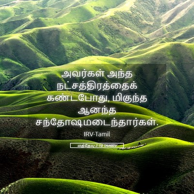 Picture 05 - மத்தேயு 2:10 TAMIRV - அவர்கள் அந்த - Bible Verse Picture