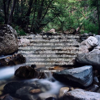 Picture 05 - மத்தேயு 2:11 TAMIRV - அவர்கள் அந்த - Bible Verse Picture