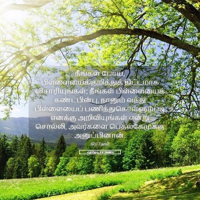Picture 05 - மத்தேயு 2:8 TAMIRV - நீங்கள் போய், - Bible Verse Picture