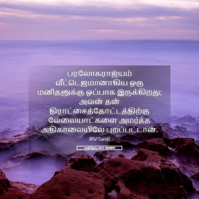 Picture 05 - மத்தேயு 20:1 TAMIRV - பரலோகராஜ்யம் - Bible Verse Picture