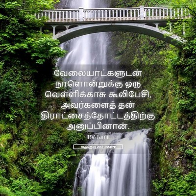 Picture 05 - மத்தேயு 20:2 TAMIRV - வேலையாட்களுடன் - Bible Verse Picture