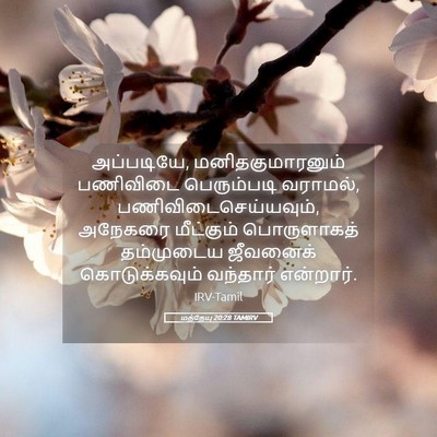 Picture 05 - மத்தேயு 20:28 TAMIRV - அப்படியே, - Bible Verse Picture