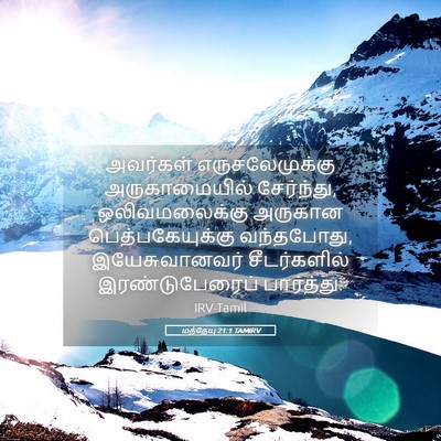 Picture 05 - மத்தேயு 21:1 TAMIRV - அவர்கள் - Bible Verse Picture