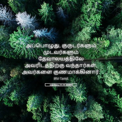 Picture 05 - மத்தேயு 21:14 TAMIRV - அப்பொழுது, - Bible Verse Picture