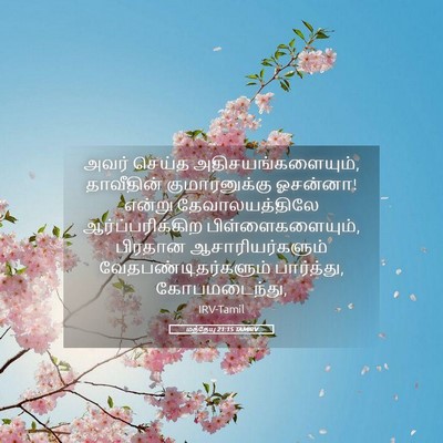 Picture 05 - மத்தேயு 21:15 TAMIRV - அவர் செய்த - Bible Verse Picture