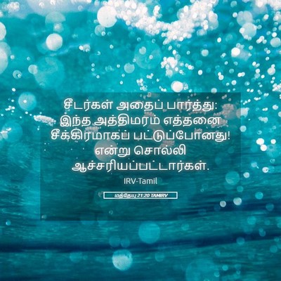 Picture 05 - மத்தேயு 21:20 TAMIRV - சீடர்கள் அதைப் - Bible Verse Picture