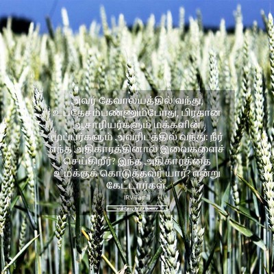 Picture 05 - மத்தேயு 21:23 TAMIRV - அவர் தேவாலயத்தில் - Bible Verse Picture