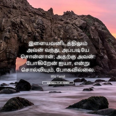 Picture 05 - மத்தேயு 21:30 TAMIRV - இளையவனிடத்திலும் - Bible Verse Picture