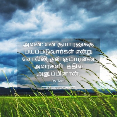 Picture 05 - மத்தேயு 21:37 TAMIRV - அவன்: என் - Bible Verse Picture