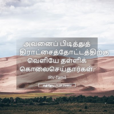 Picture 05 - மத்தேயு 21:39 TAMIRV - அவனைப் பிடித்துத் - Bible Verse Picture