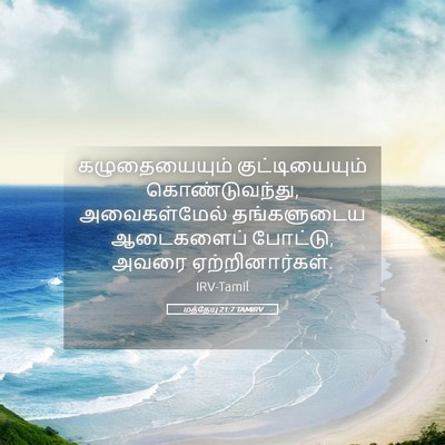 Picture 05 - மத்தேயு 21:7 TAMIRV - கழுதையையும் - Bible Verse Picture