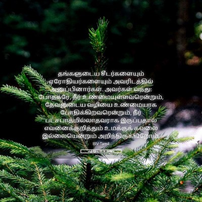 Picture 05 - மத்தேயு 22:16 TAMIRV - தங்களுடைய - Bible Verse Picture