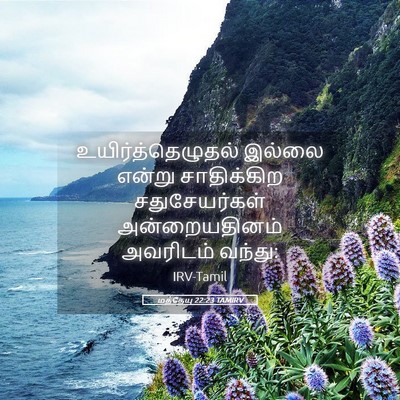 Picture 05 - மத்தேயு 22:23 TAMIRV - உயிர்த்தெழுதல் - Bible Verse Picture