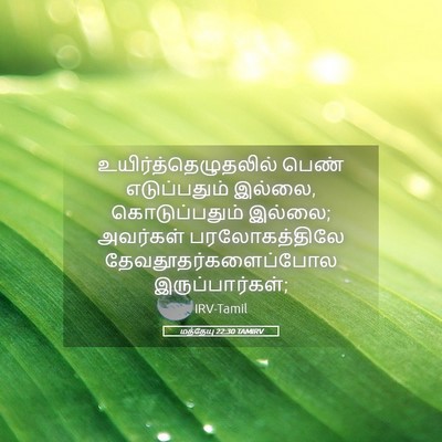 Picture 05 - மத்தேயு 22:30 TAMIRV - உயிர்த்தெழுதலில் - Bible Verse Picture