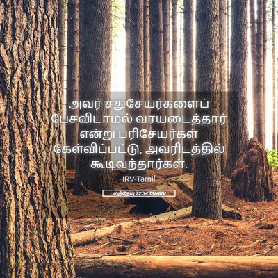 Picture 05 - மத்தேயு 22:34 TAMIRV - அவர் - Bible Verse Picture