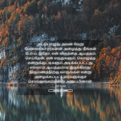 Picture 05 - மத்தேயு 22:4 TAMIRV - அப்பொழுது அவன் - Bible Verse Picture