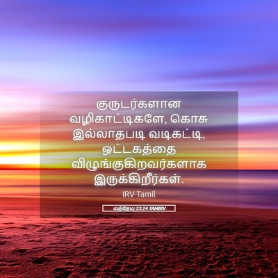 Picture 05 - மத்தேயு 23:24 TAMIRV - குருடர்களான - Bible Verse Picture