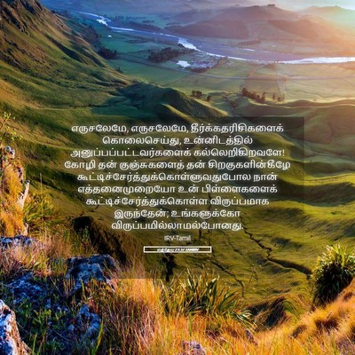 Picture 05 - மத்தேயு 23:37 TAMIRV - எருசலேமே, - Bible Verse Picture