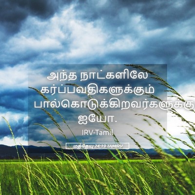 Picture 05 - மத்தேயு 24:19 TAMIRV - அந்த நாட்களிலே - Bible Verse Picture