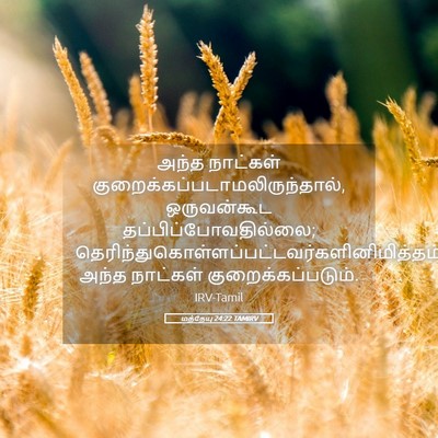 Picture 05 - மத்தேயு 24:22 TAMIRV - அந்த நாட்கள் - Bible Verse Picture