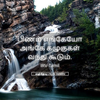 Picture 05 - மத்தேயு 24:28 TAMIRV - பிணம் எங்கேயோ - Bible Verse Picture