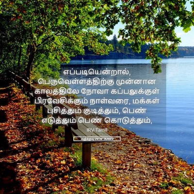 Picture 05 - மத்தேயு 24:38 TAMIRV - எப்படியென்றால், - Bible Verse Picture