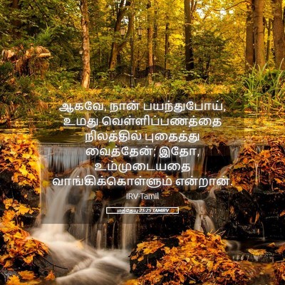 Picture 05 - மத்தேயு 25:25 TAMIRV - ஆகவே, நான் - Bible Verse Picture