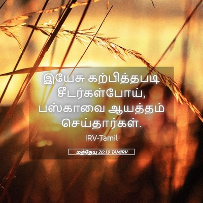 Picture 05 - மத்தேயு 26:19 TAMIRV - இயேசு கற்பித்தபடி - Bible Verse Picture