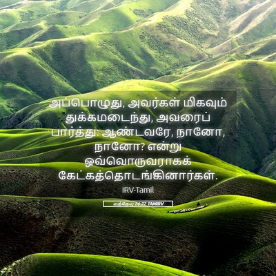 Picture 05 - மத்தேயு 26:22 TAMIRV - அப்பொழுது, - Bible Verse Picture