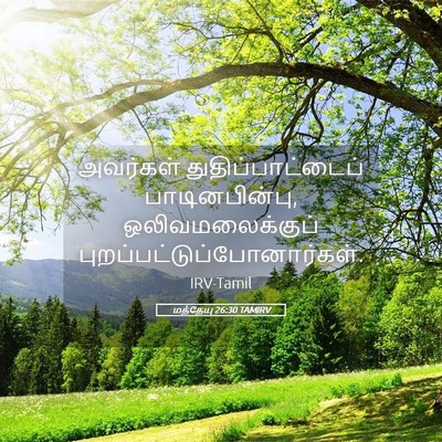 Picture 05 - மத்தேயு 26:30 TAMIRV - அவர்கள் - Bible Verse Picture