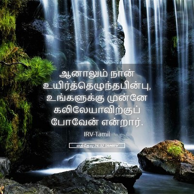 Picture 05 - மத்தேயு 26:32 TAMIRV - ஆனாலும் நான் - Bible Verse Picture