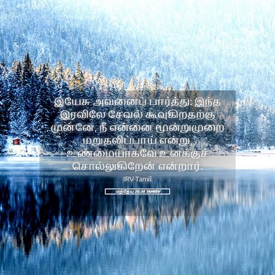 Picture 05 - மத்தேயு 26:34 TAMIRV - இயேசு அவனைப் - Bible Verse Picture