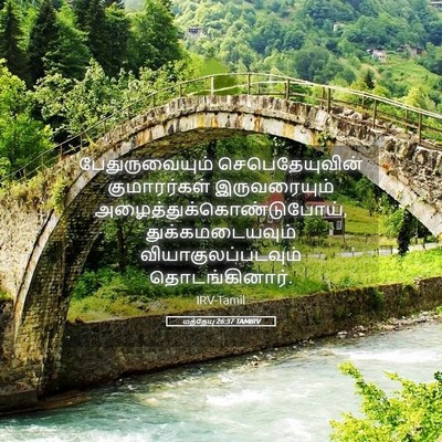 Picture 05 - மத்தேயு 26:37 TAMIRV - பேதுருவையும் - Bible Verse Picture