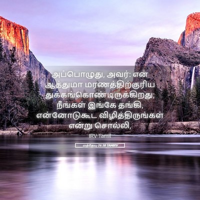 Picture 05 - மத்தேயு 26:38 TAMIRV - அப்பொழுது, அவர்: - Bible Verse Picture