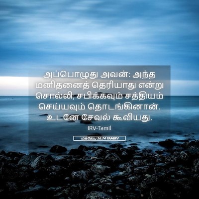 Picture 05 - மத்தேயு 26:74 TAMIRV - அப்பொழுது அவன்: - Bible Verse Picture