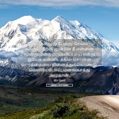 Picture 05 - மத்தேயு 26:75 TAMIRV - அப்பொழுது பேதுரு: - Bible Verse Picture
