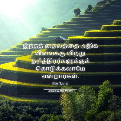 Picture 05 - மத்தேயு 26:9 TAMIRV - இந்தத் தைலத்தை - Bible Verse Picture