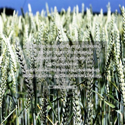 Picture 05 - மத்தேயு 27:1 TAMIRV -  - Bible Verse Picture