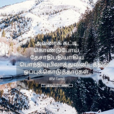 Picture 05 - மத்தேயு 27:2 TAMIRV - அவரைக் கட்டி, - Bible Verse Picture