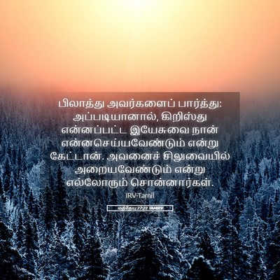 Picture 05 - மத்தேயு 27:22 TAMIRV - பிலாத்து - Bible Verse Picture