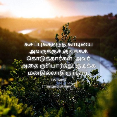 Picture 05 - மத்தேயு 27:34 TAMIRV - கசப்புக்கலந்த - Bible Verse Picture