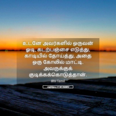 Picture 05 - மத்தேயு 27:48 TAMIRV - உடனே அவர்களில் - Bible Verse Picture