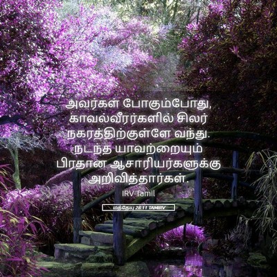 Picture 05 - மத்தேயு 28:11 TAMIRV - அவர்கள் - Bible Verse Picture