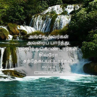 Picture 05 - மத்தேயு 28:17 TAMIRV - அங்கே அவர்கள் - Bible Verse Picture