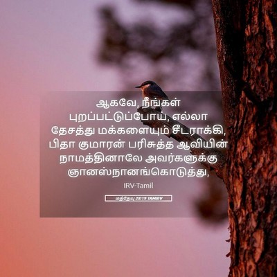 Picture 05 - மத்தேயு 28:19 TAMIRV - ஆகவே, நீங்கள் - Bible Verse Picture