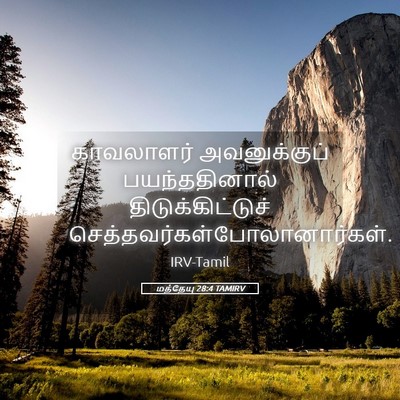 Picture 05 - மத்தேயு 28:4 TAMIRV - காவலாளர் - Bible Verse Picture