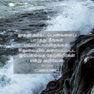 Picture 05 - மத்தேயு 28:5 TAMIRV - தூதன் அந்தப் - Bible Verse Picture
