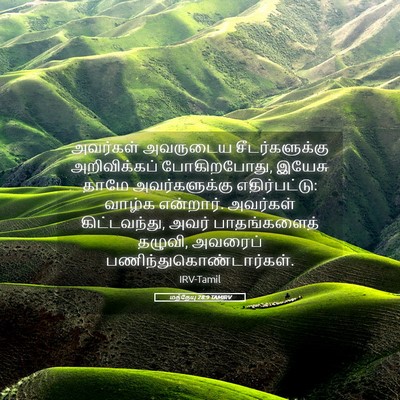 Picture 05 - மத்தேயு 28:9 TAMIRV - அவர்கள் அவருடைய - Bible Verse Picture