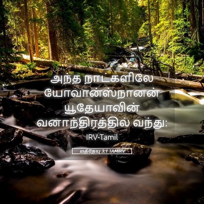 Picture 05 - மத்தேயு 3:1 TAMIRV - அந்த நாட்களிலே - Bible Verse Picture