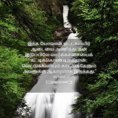Picture 05 - மத்தேயு 3:4 TAMIRV - இந்த யோவான் - Bible Verse Picture